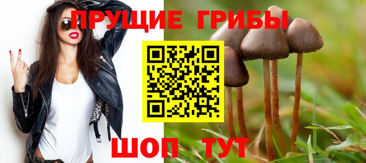 Псилоцибиновые грибы мицелий Ноябрьск